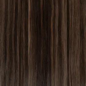 Clip-In Medium Golden Highlight Hair Extensions