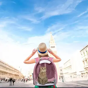 Cat Pet Carrier Backpack Transparent Capsule Bubble Pet Backpack