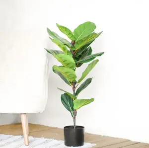 Small Fiddle Leaf Tree