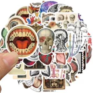 Human Organ Pattern Sticker, Graphic Decal, 50pcs/set Medical Body Organ Anatomy Decals, Waterproof Graffiti Sticker for Journal, Planner, Laptop, Refrigerator, Skateboard, Luggage, Kindle