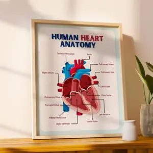Anatomy of Heart Print - Human Body System Poster - Anatomy Wall Art - Learning Kit for Kids - Wall Hanging for Classroom - Poster No Frame