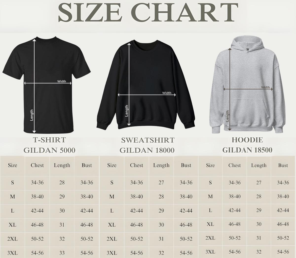 Femininomenon Sweatshirt,Femininomenon,Concert Shirt,Chappell Roan,Hot to Go Sweatshirt,Midwest Princess,Gifts for Women,Best