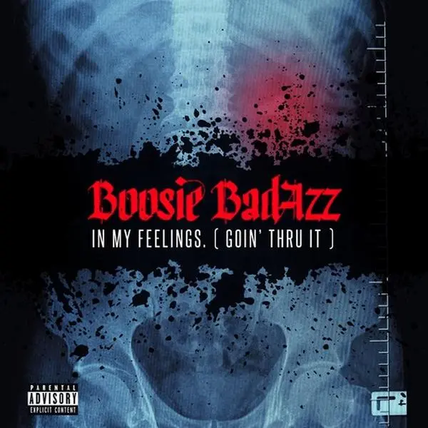 Boosie Badazz - In My Feelings (Goin' Thru It)  [COMPACT DISC - CD] Explicit, Digipack Packaging