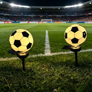 Solar LED Soccer Light