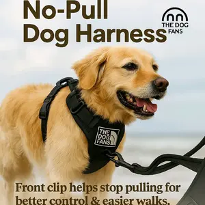 THE DOG FANS No-Pull Reflective Dog Harness & Leash Set - Adjustable Waterproof Nylon with 360° Reflective Strips, Safe for Medium & Large Breeds Safety Buckle