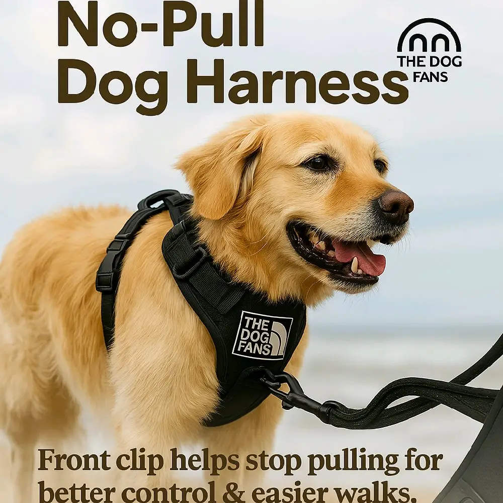 THE DOG FANS No-Pull Reflective Dog Harness & Leash Set - Adjustable Waterproof Nylon with 360° Reflective Strips, Safe for Medium & Large Breeds