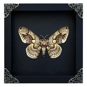 Death Head Moth Shadow Box – Gothic Wall Decor, Dark Academia Oddities Display, Cabinet of Curiosities Wall Art, Witchy Home Decor, Gothic Collectible