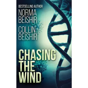 USED-Chasing The Wind by Beishir, Norma (Hardcover)