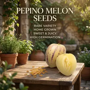 100 Non-GMO Pepino Melon Seeds for Planting - Exotic Sweet Fruit Seeds, Fast-Growing, Ideal for Home Gardens & Patios, Garden Supplies