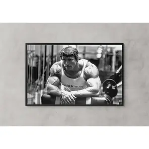 Arnold Schwarzenegger Poster