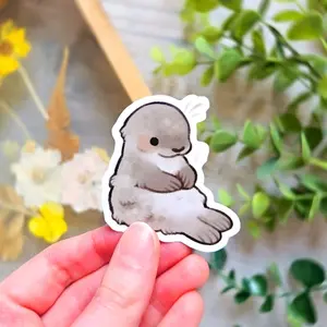 Sitting Seal Sticker Marine Animal Stickers Funny Animal Vinyl Waterproof Laptop Water Bottle Vinyl Sticker, Gift for nature lovers