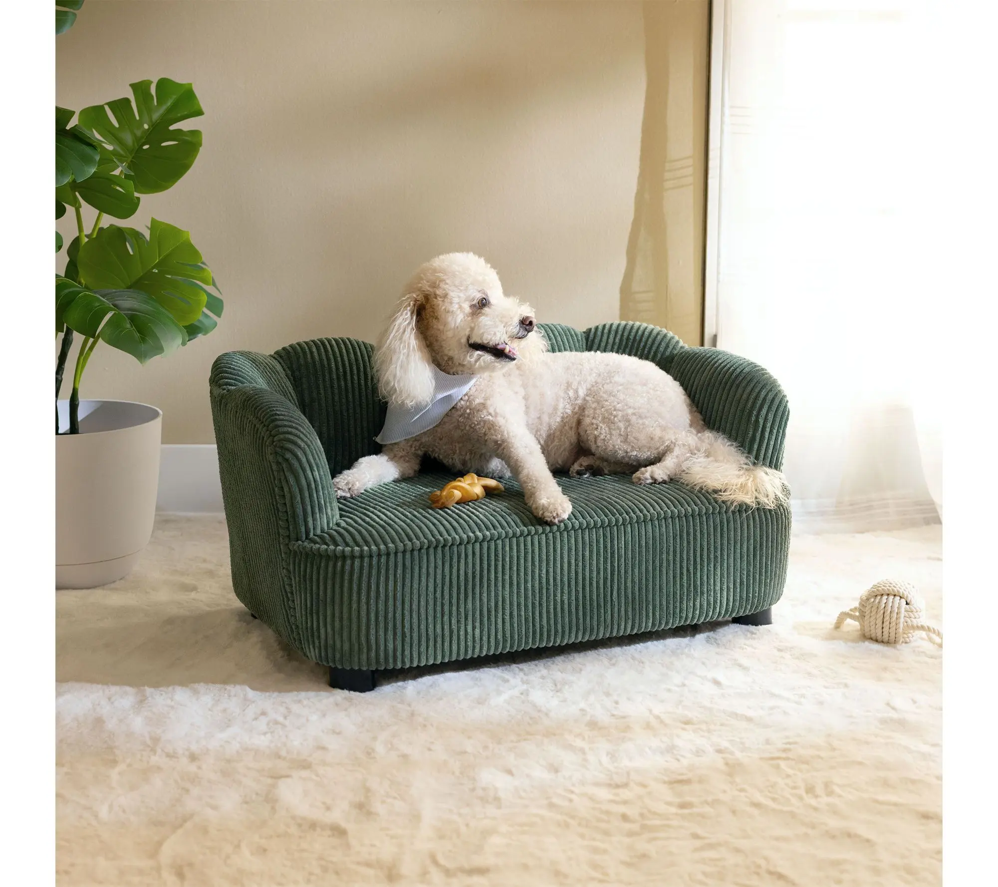 Paws & Purrs Retro Scalloped Stylish Dog & Cat Bed