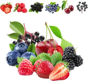 800+ Mix Fruit Seeds, 6 Variety Non-GMO Heirloom and Organic, Strawberry Seeds Raspberry Seeds Mulberry Seeds Blueberry Seeds for Planting Home Garden