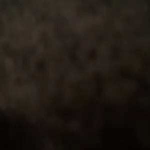 review image 6