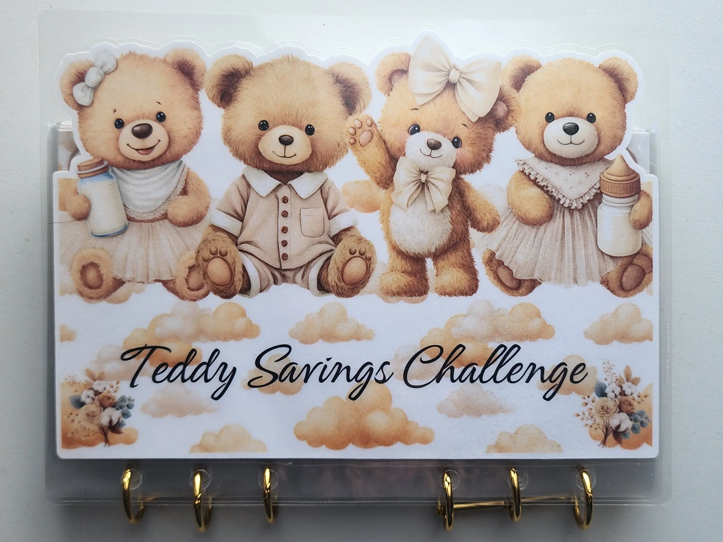 Teddy Savings Challenge