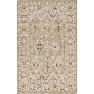 Mira 4610 Sage Rug