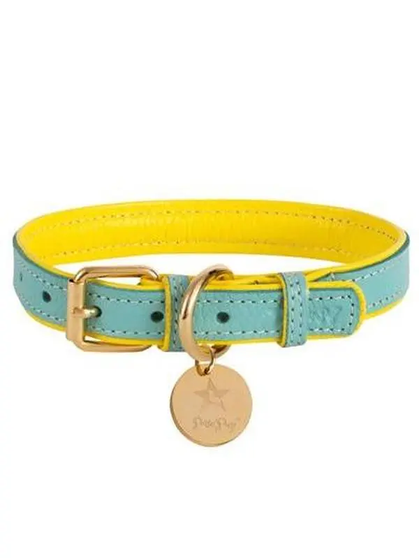 PoisePup Leather Collar Sunshine Babe - Elegant Design for Casual Wear