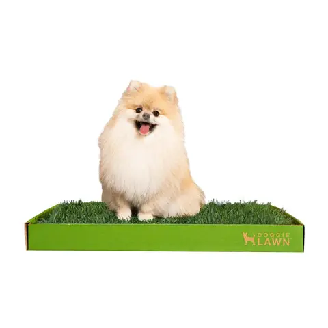 Disposable DoggieLawn Real Grass Dog Potty Patch With Small Fire Hydrant- Odor Neutralizing, Eco-Friendly and Affordable for Easy Potty Training