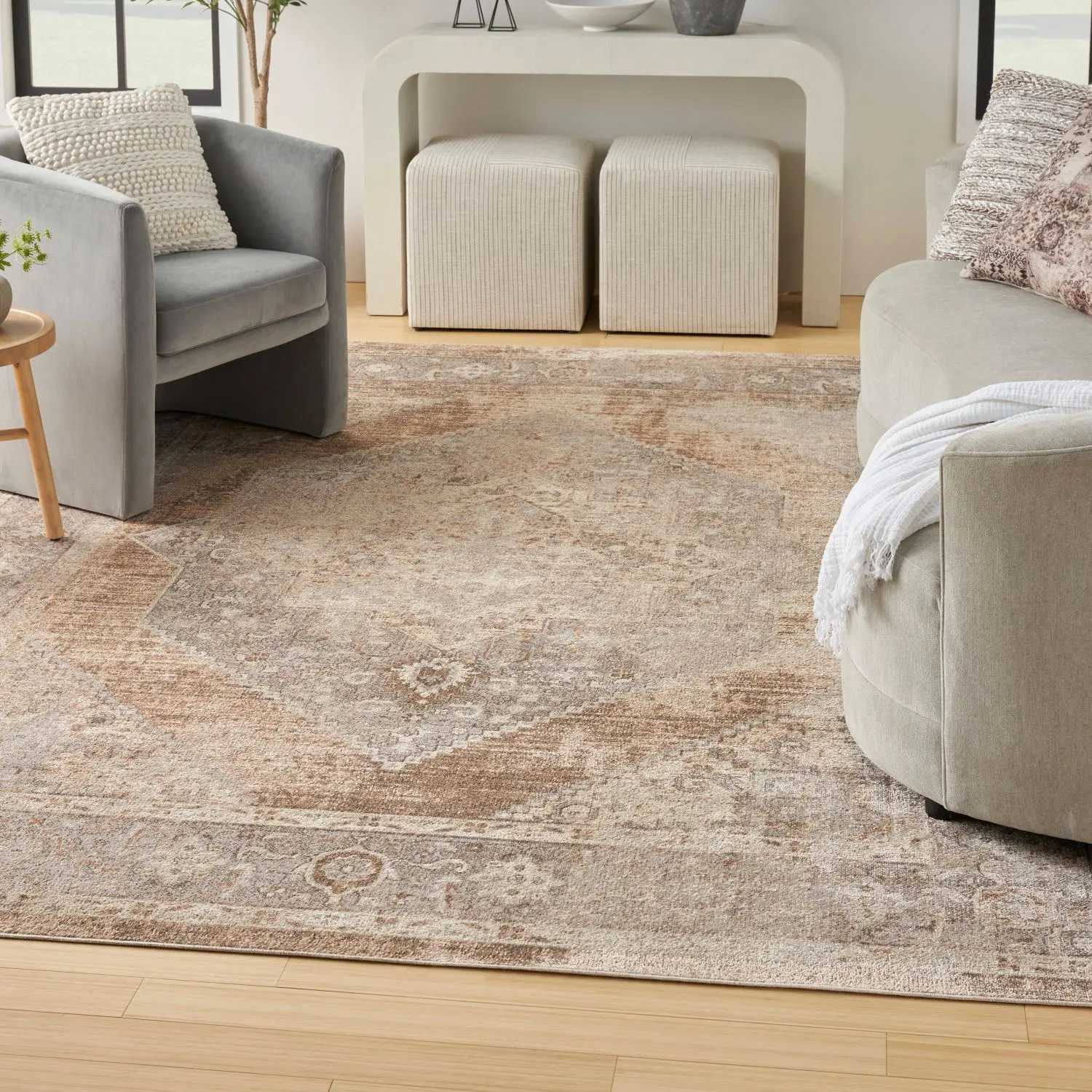 Nourison Astra Vintage Indoor Flatweave Area Rug - Machine Washable Rugs for Living Room Home Decor, Easy-Care Versatile Style with Cleaning Convenience, Area Rug Cleaning