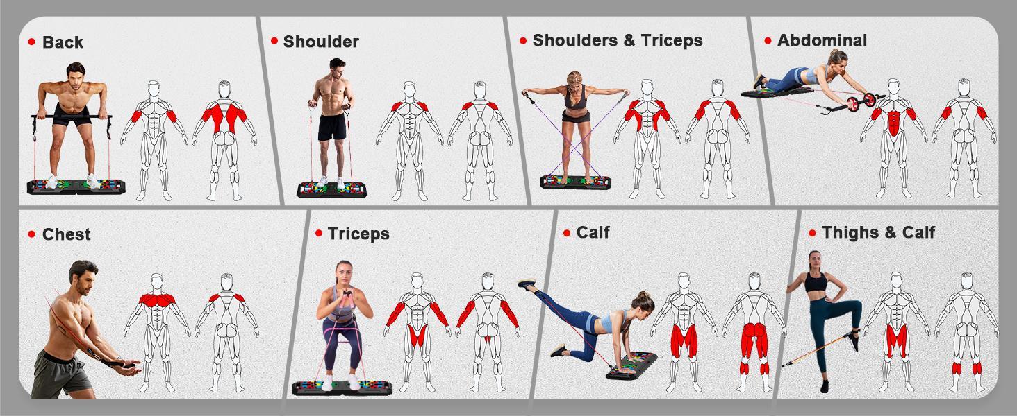 LALAHIGH Home Gym Kit, All-in-One Fitness Equipment with Push-Up Board, Resistance Bands with Bar, Pilates Bar, Pulley and Multi-Functional Training Board for Exercise Strength Training, Stable and Portable Home Workout Equipment