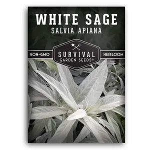 White Sage Seed for Planting - Grow drought-tolerant herbs