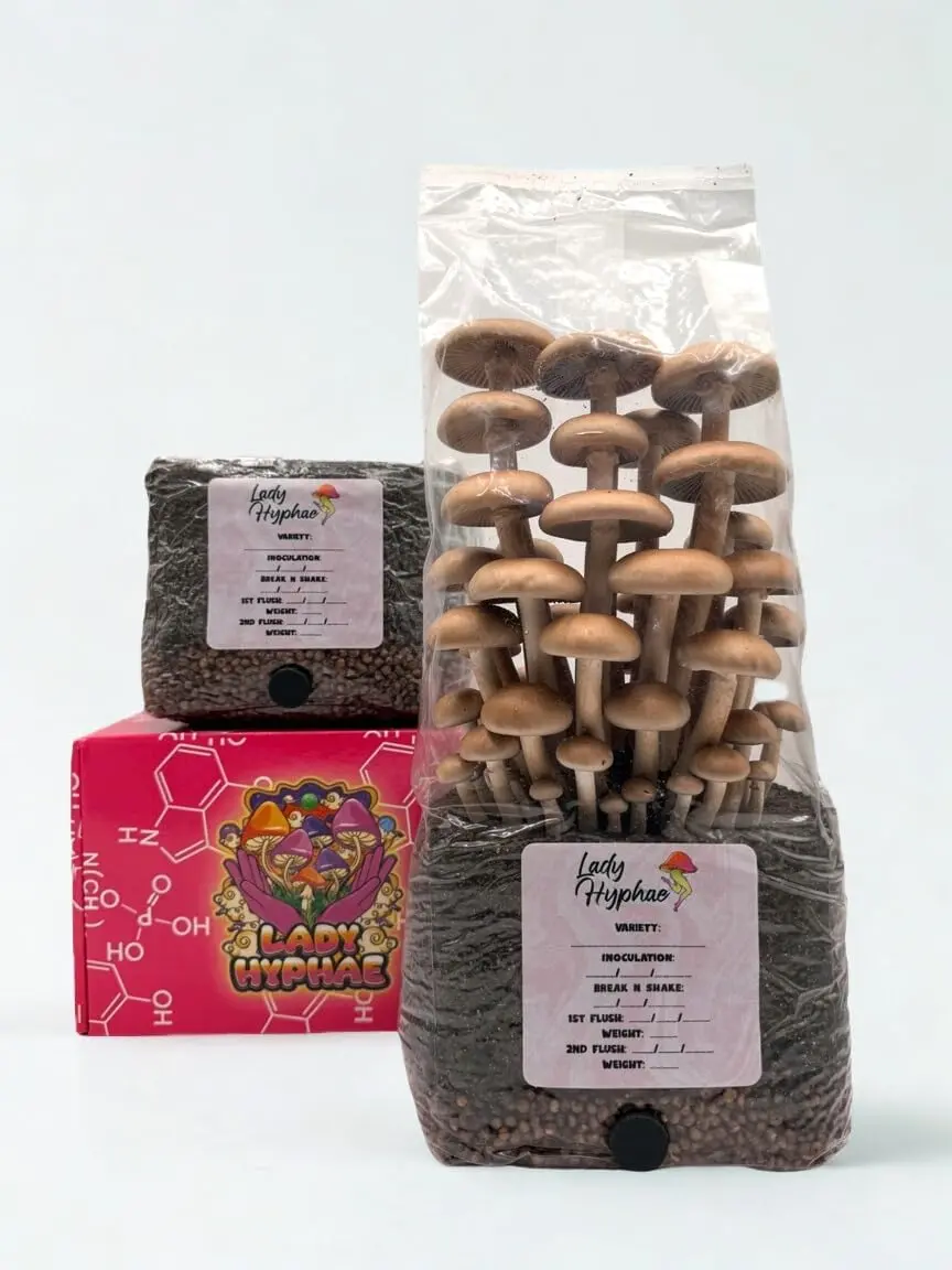3lb All-in-1 Mushroom Grow Bags Bundle - Complete Cultivation Kit with Grain, Balanced Moisture Retention for Consistent Yields (2-Pack)