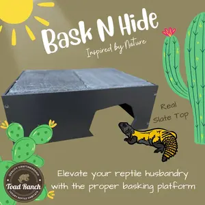 Reptile Bask N Hide - Reptile Hide