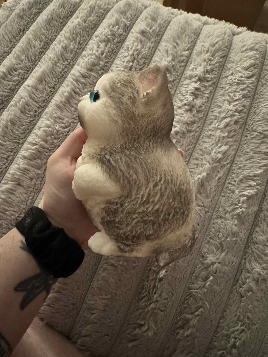 Item: A DIY White Cat