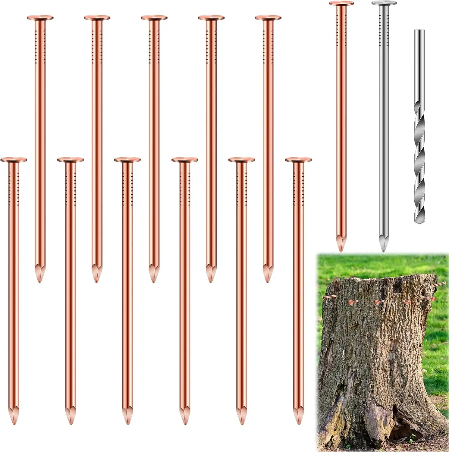 25 count Copper Nails Kit to Killing Trees,Includes 23 count 3.5 Inch Pure Copper Nails Bulk,Stump Removal Spikes Hardware Nails for Trees, Stumps,Landscaping, and Hobbies
