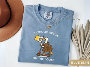 Catholic Shirt Funny, Religious Silly Goose T-Shirt, Franciscan Comfort Colors Tee, Catholic Gift, Youth Group Shirt, Vatican Flag TShirt