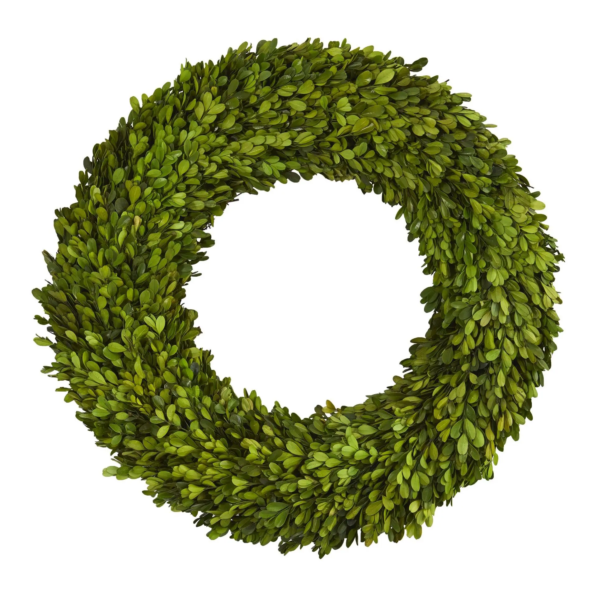 Nearly Natural 24" Preserved Boxwood Wreath