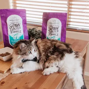Raw Coated Kibble Dry Cat Food