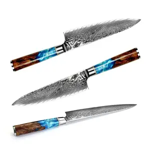 67-Layer Damascus Steel Chef’s Knife – Pattern Kitchen Knife with Resin Wood Handle