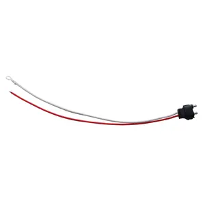 2 Wire Pigtail With 2 Prong Straight Plug - 12" Lead