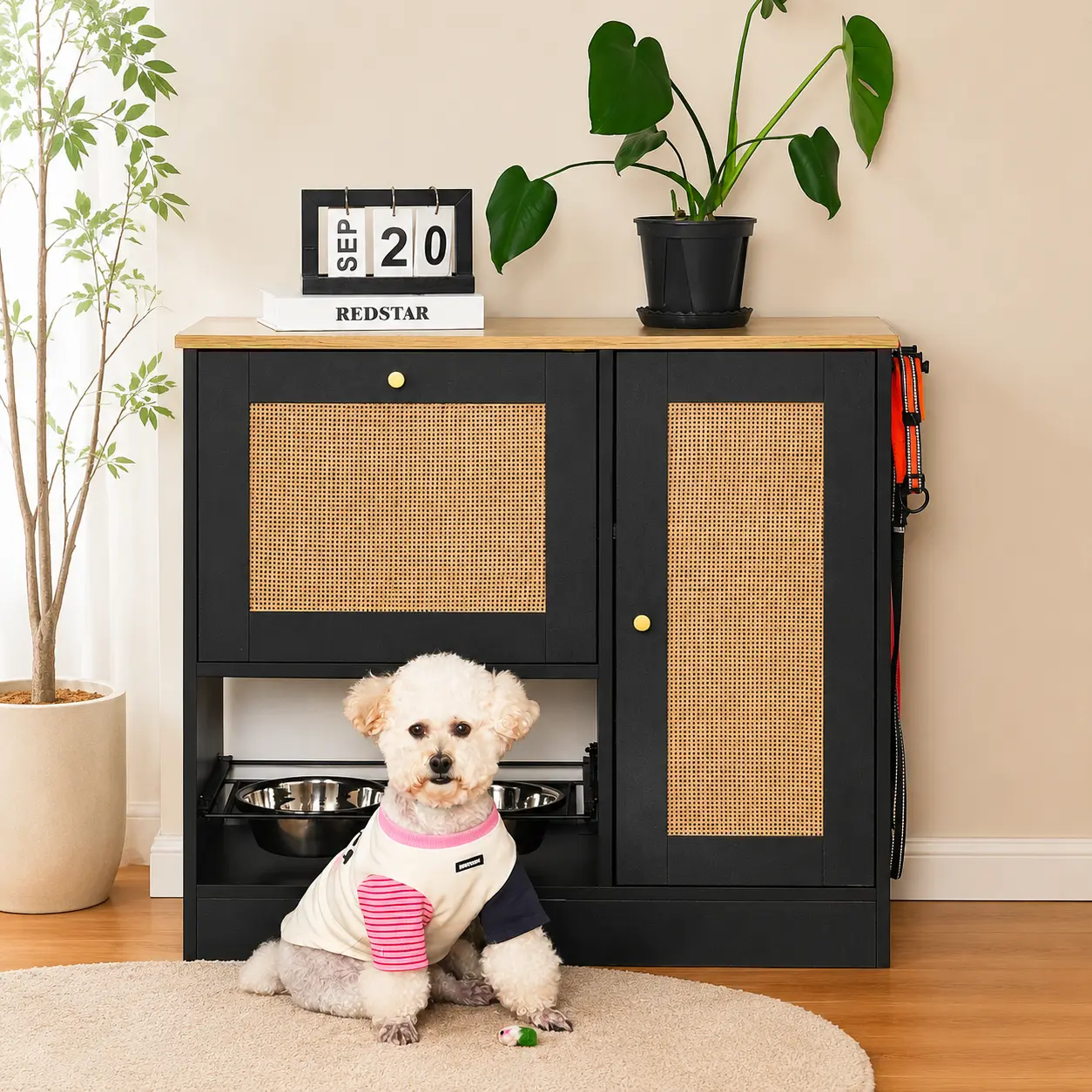 littleox Feeding station with 2 lockers, pet feeding station with 2 elevated dog bowls, side hooks, anti-tipping kit, hidden pet feeding station for feeding and watering, rattan door, black