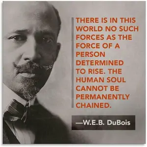 W E B DuBois Poster Great Leader Fearless Pioneers Quote Poster (6) Canvas Wall Art Poster for Bedroom Living Room Decor 12x12inch(30x30cm) Unframe-style