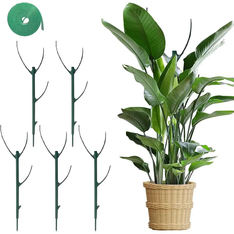 best growing conditions for philodendron Heartleaf Philodendron Plant Care Guide - How to Grow Philodendron  Hederaceum main image 0