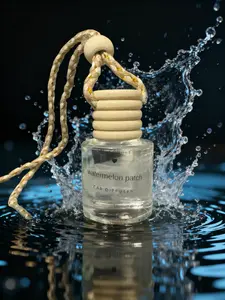 Watermelon patch car diffuser