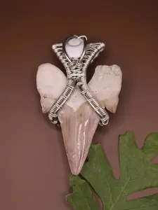 *Custom* Silver Wire Wrapped Shark Tooth with Shiva Eye Necklace Pendant