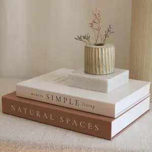 Decorative Book Set, 2Counts/set Modern Hardcover Decor Book, Faux Books for Decoration, Home Decor for Coffee Table, Living Room, Interior Modern Decorations Ornaments