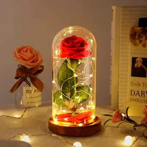 Light Up Rose in Glass Dome, Eternal Beauty and The Beast Rose, Mothers Day Rose Gifts for Women, Birthday Gifts for Mom, Mother's Day Rose Gift Ideas for Wife
