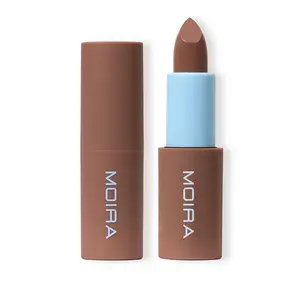 Chic Satin Lipstick (004, Time Capsule)