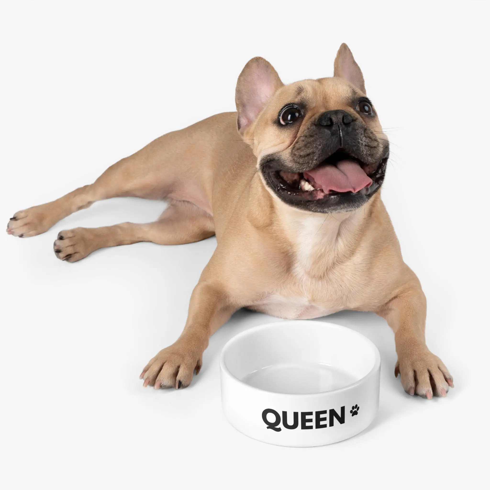 Personalized Pet Name Pet Bowl | Custom Dog Bowl, Custom Cat Bowl
