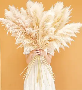 40 Inch Tall Pampas Grass, 16 Stems Natural Dried Fluffy Pampas Grass for Floor Vase, Boho Farmhouse Home Decor, Wedding Centerpieces, Party and Living Room Decoration