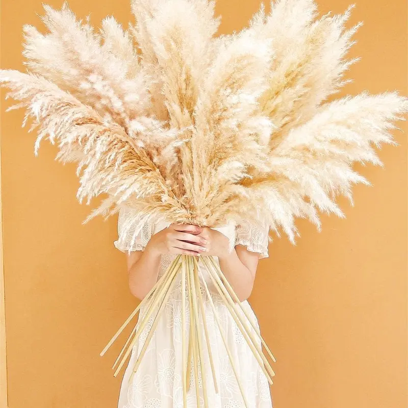 NortureFlora 40-Inch Tall Natural Dried Fluffy Pampas Grass, 20 Stems Farmhouse Artificial Flowers for Floor Vase, Boho Entryway & Living Room Decor