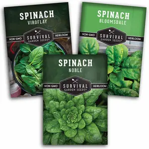 Spinach Seed Collection - 3 Packets of Spinach Seeds
