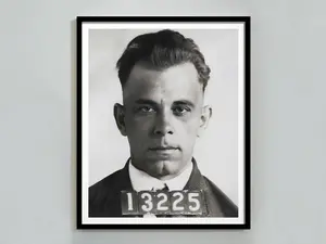 Mugshot Poster, Black and White, Celebrity Mugshot, Vintage Photo, Mugshot Print, Civil Rights Poster, Digital Download, Mugshots, Wall Art