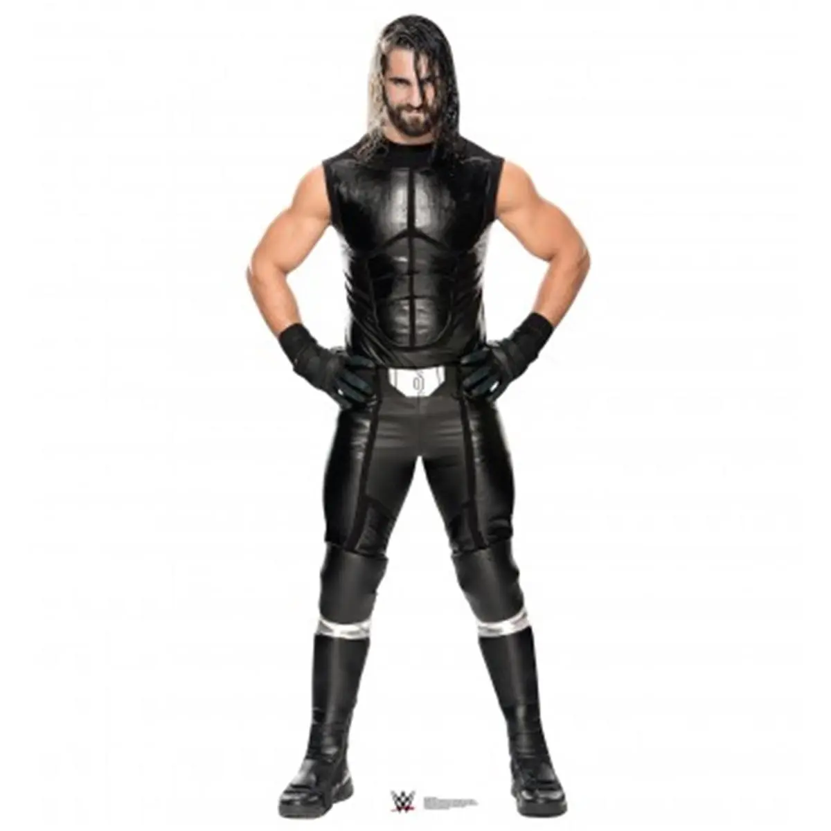 Seth Rollins WWE Cardboard Cutout, Home Decor Standup for Wrestling Fans
