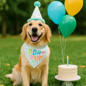 Birthday Pup Dog Hat & Bandana Set Adorable Small Dog Birthday Outfit with Squeaky Plush Hat and Colorful Collar Insert Bandana for Party Photos and Reels