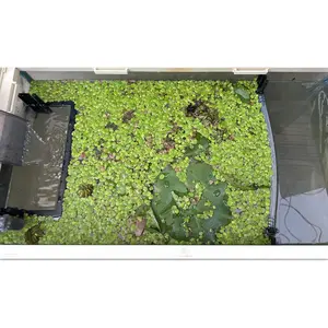 Floating  Fence for Aquarium, Separates Floating , Automatically Adjusts Height with Water Level, Suitable for  Floating  and  Aquariums.